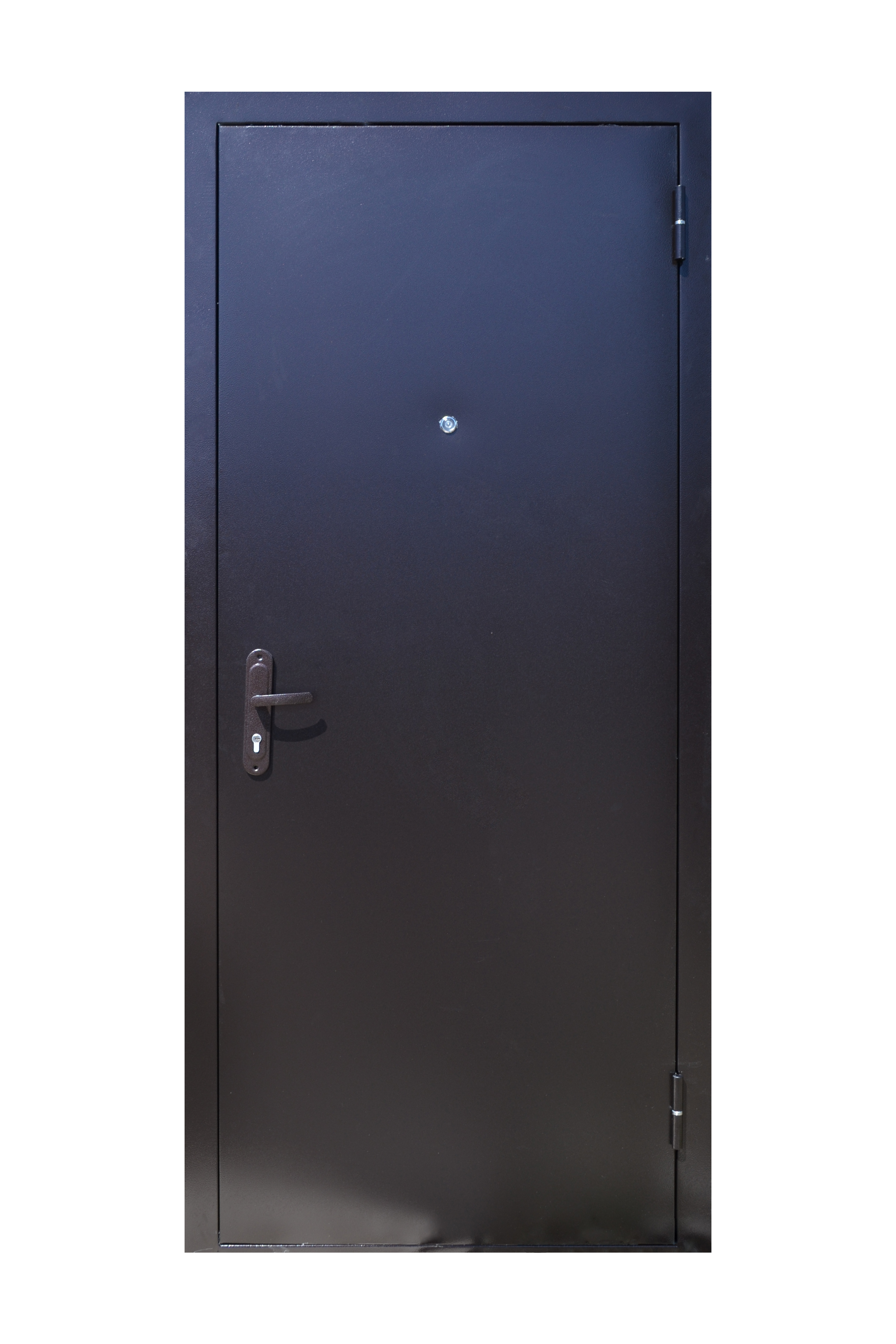 Дверь мет. Пятерка мет/мет